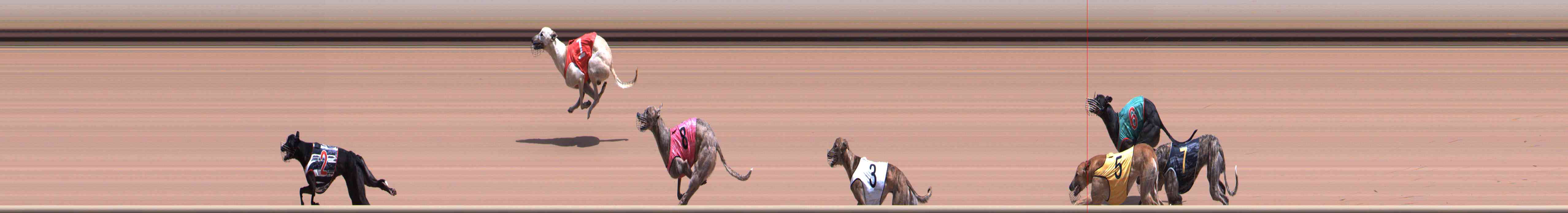 Race result finish photo